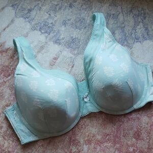 Cacique 42DDD full cover under wire padded teal bra